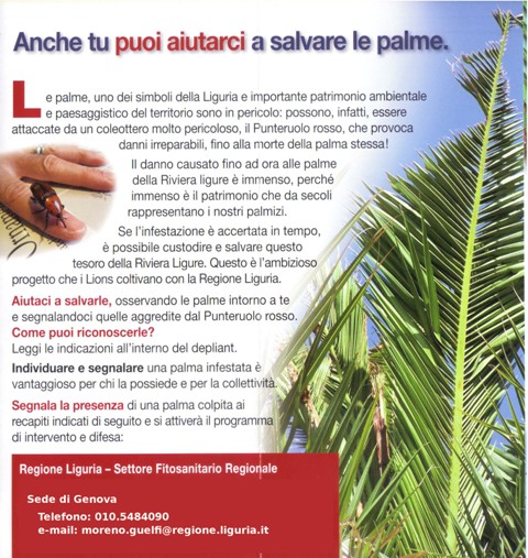 Aiutaci a salvare le palme